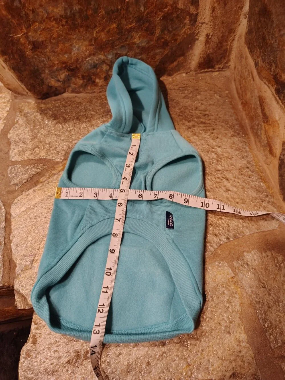 Frisco by Chewy Dog Cat Basic Hoodie Teal Size Medium Girl Boy Polyester Unisex